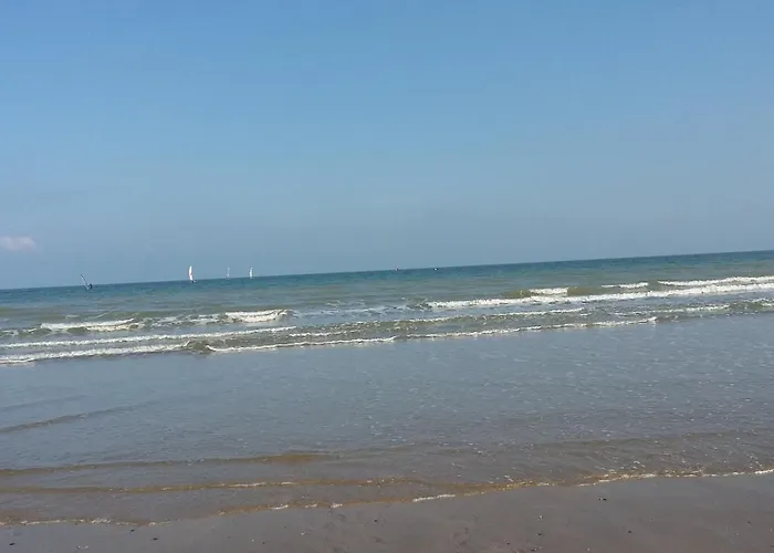 Bord De * ウイストルアム